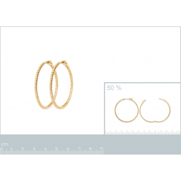 Boucles d'oreilles 