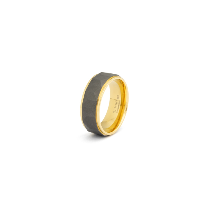 Bague homme Gemini