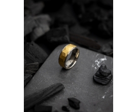 Bague homme Gemini