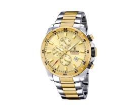 Man Watch Festina