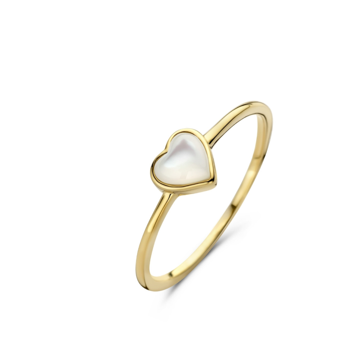 Ringe Silver Rose