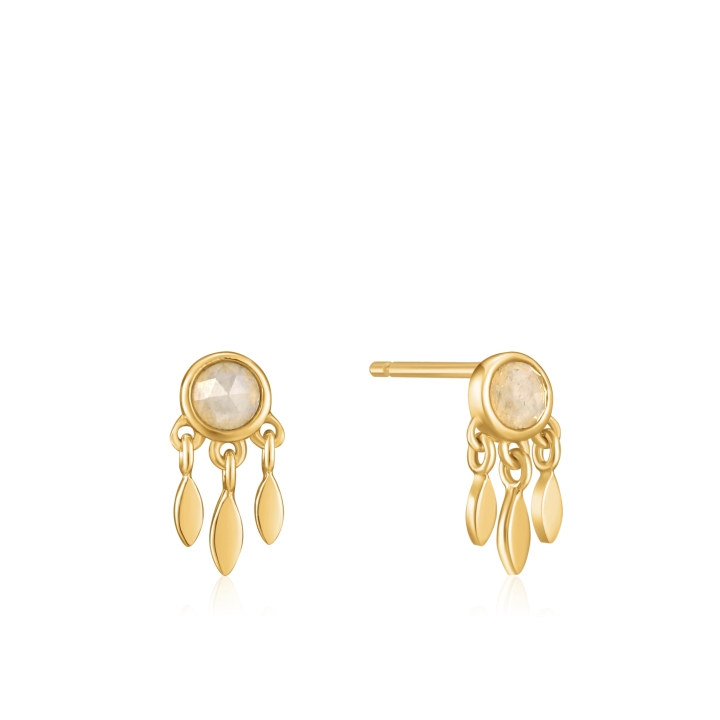 Boucles d'oreilles dame Ania Haie