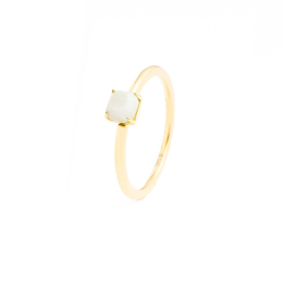 Ringe Didyma