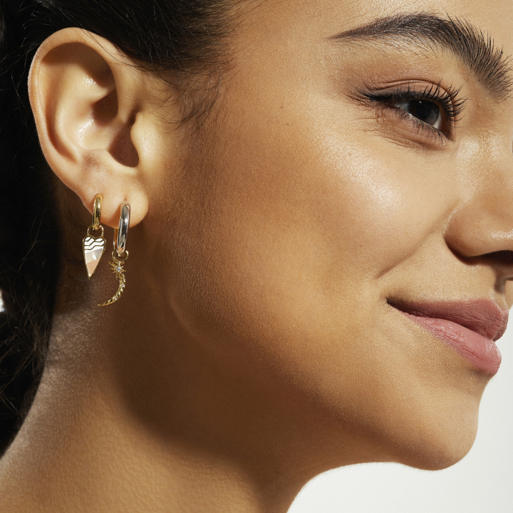 Pop Charms pour boucles d'oreilles Ania Haie