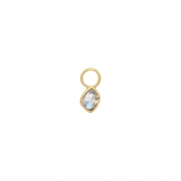 Pop Charm pour boucles d'oreilles Ania Haie
