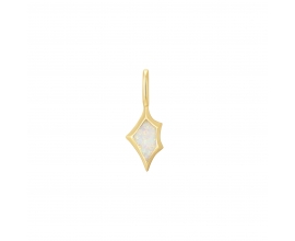Pop Charm pour collier Ania Haie