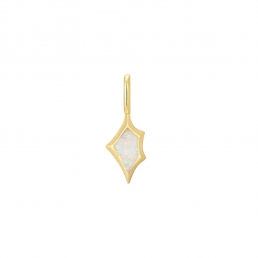 Pop Charm pour collier Ania Haie