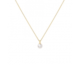 Collier dame Ania Haie