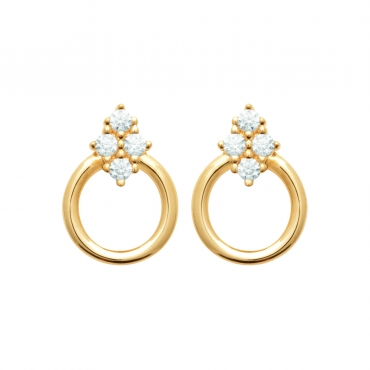 Boucles d'oreilles 