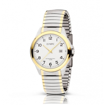 Montre dame Festina