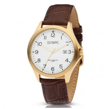 Montre dame Festina