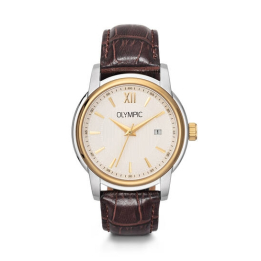 Montre dame Festina