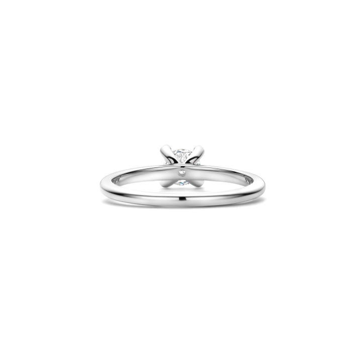 Ringe Ti Sento