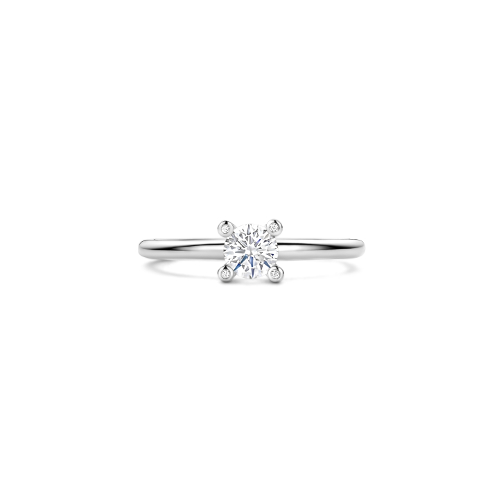 Ringe Ti Sento