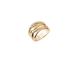 Ringe Saunier
