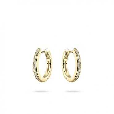 Boucles d'oreilles (22MM)