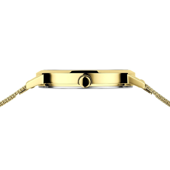 Montre dame BERING