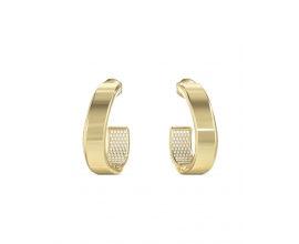 Earrings  Guess